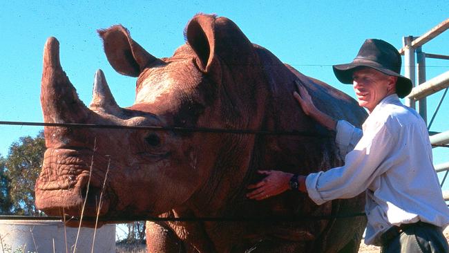 Geoff Brooks with white rhino Uhura shortly after her arrival from Singapore. Uhura was South Australia's first white rhino.