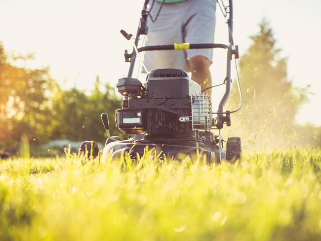 Mowing can bring much satisfaction if you are in the mood for it.