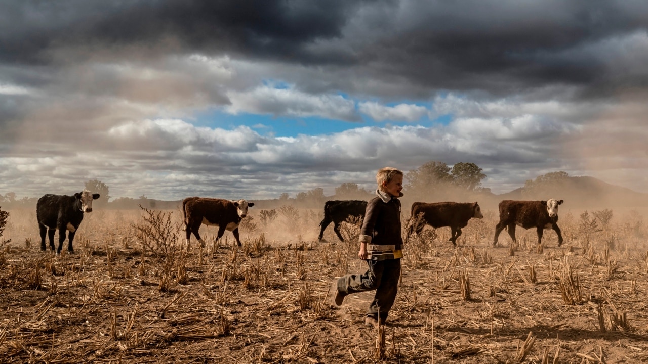 Australians rallying to raise funds for drought-stricken farmers