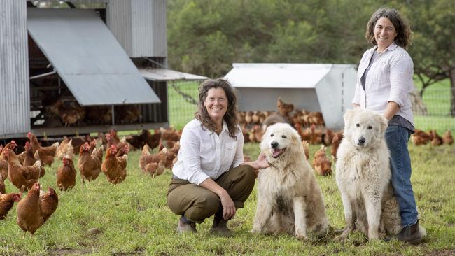 Gab and Jacqui at Yolky Dolky have transformed the pasture raised farming industry through hard work, building strong relationships and following a dream born out of tragedy. Picture: Zoe Phillips