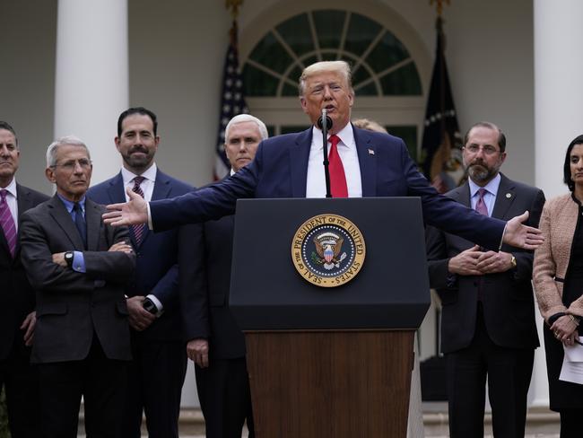 President Donald Trump declares a national emergency. Picture: AP Photo/Evan Vucci