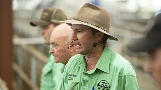 Auctioneer Anthony Delaney. Pictures: Zoe Phillips