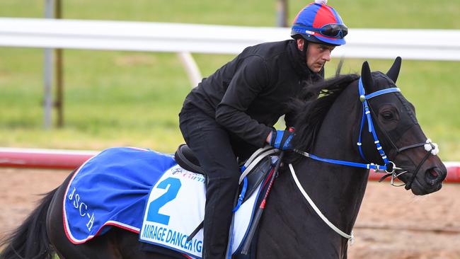 Mirage Dancer put through his paces ahead of the Caulfield Cup