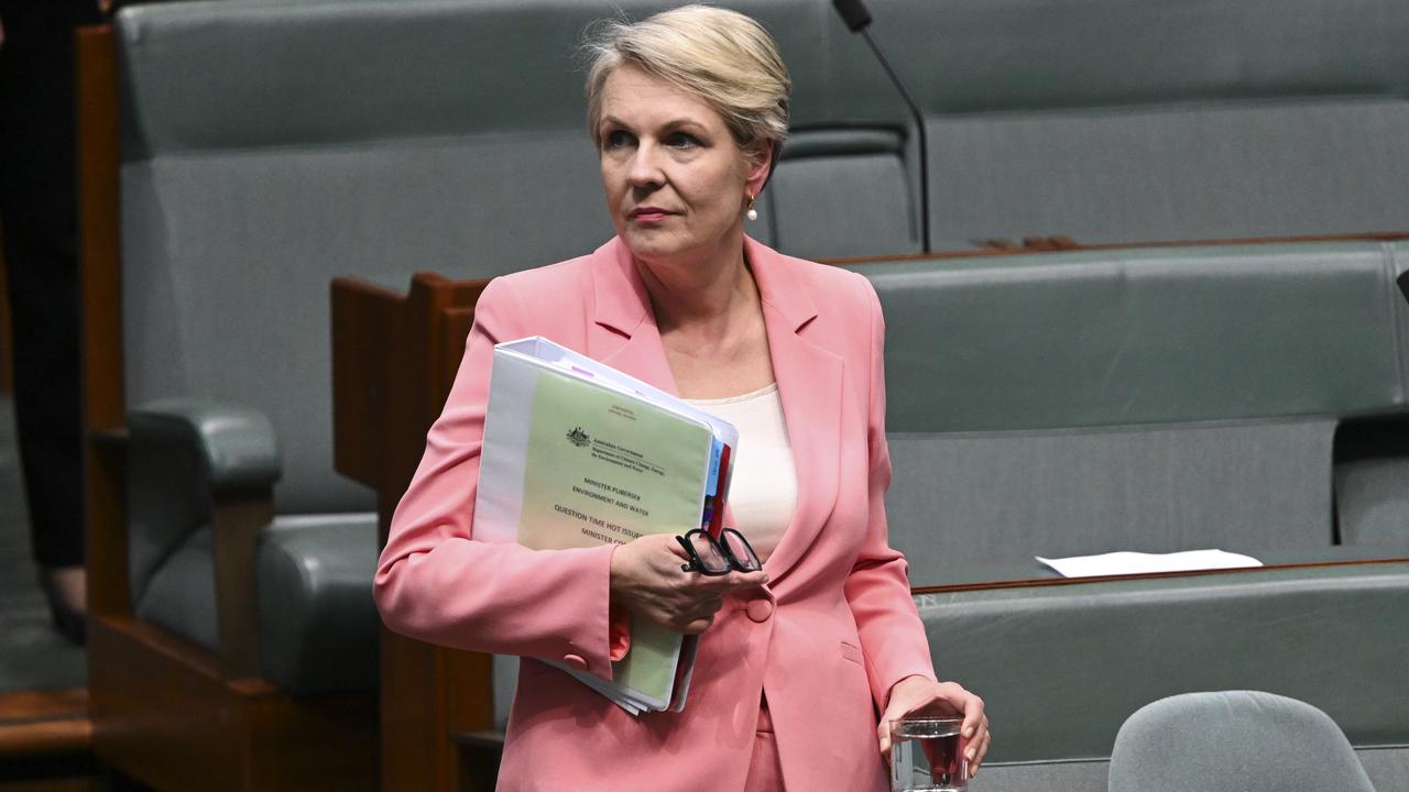 Tanya Plibersek. Picture: NCA NewsWire / Martin Ollman