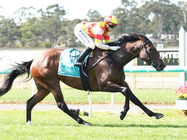 Coco Sun wins at Bendigo earlier this month. Picture: Scott Barbour-Racing Photos