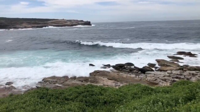 Surfers off the rocks at Malabar