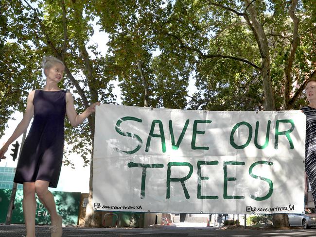 Leave it out: See where Adelaide’s lost the most trees