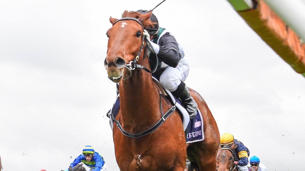 Hayes’ ‘ugly duckling’ can Rise to Group 1 challenge