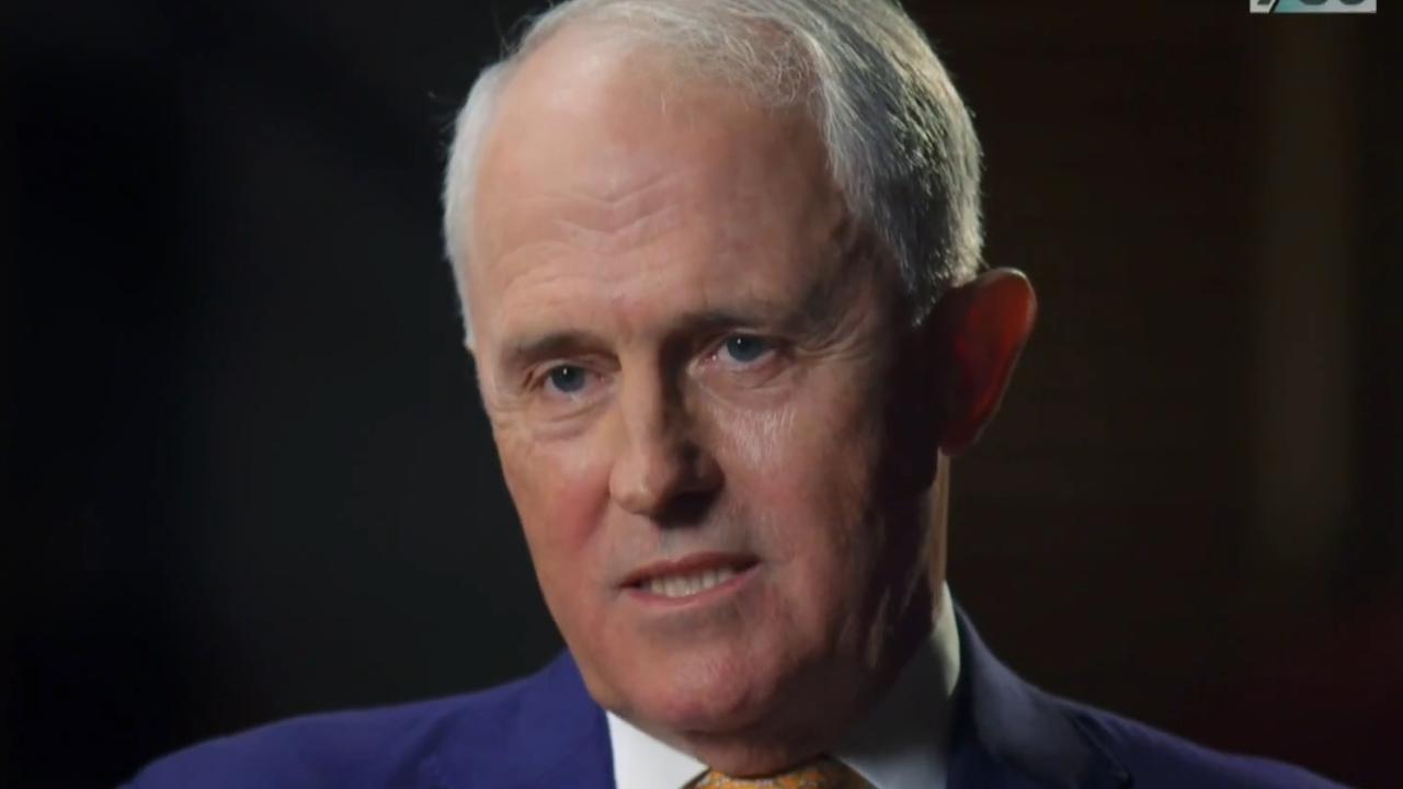 Ex-Liberal executive lashes Turnbull after ‘thug’ comment