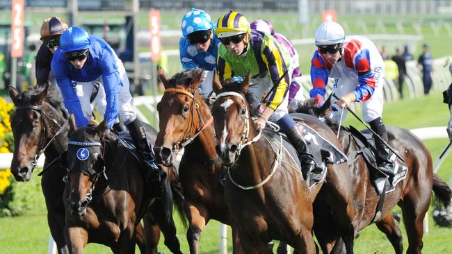 Sofia Rosa will be aimed at the Caulfield Cup in the spring. Picture: Simon Bullard