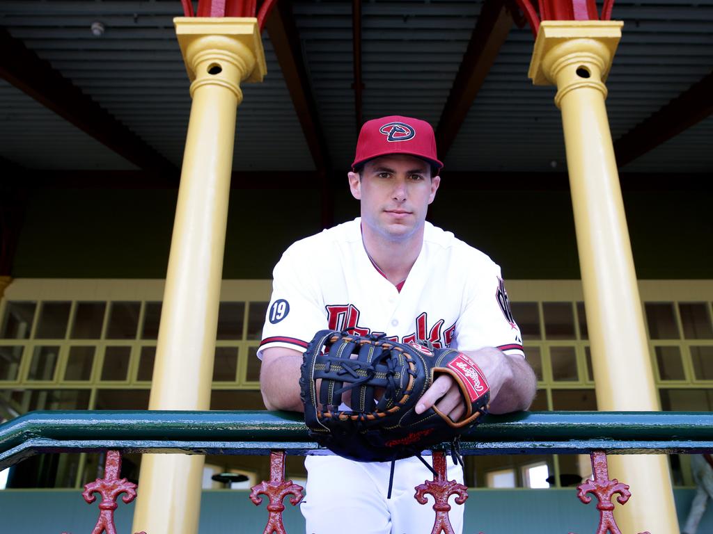 Paul Goldschmidt's Teammates Cheer His M.V.P. Campaign - The New