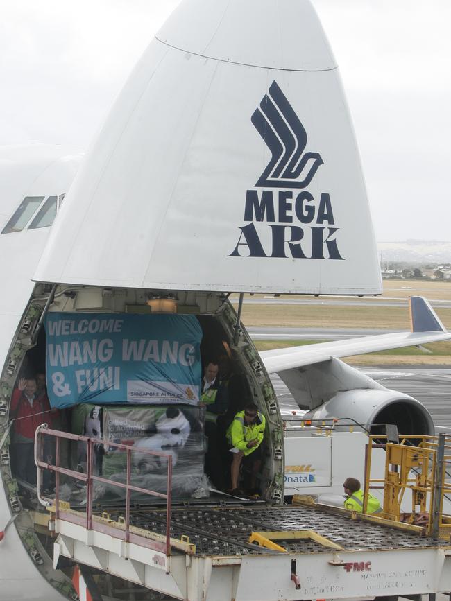 Giant pandas Wang Wang and Fu Ni arrive at Adelaide Airport.