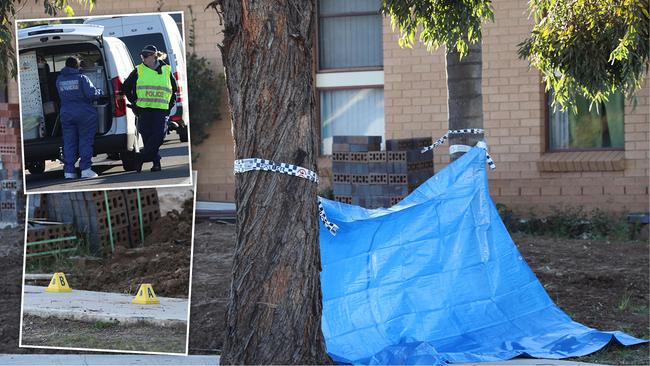 Daughter, 25, allegedly decapitates mother in Sydney’s west