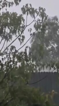 WATCH: Flash-flooding warning as intense rain hits the Gold Coast