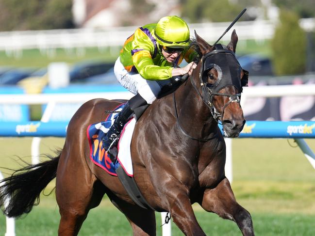 Band Of Brothers ridden by Damian Lane wins the ive > Vain Stakes at Caulfield Racecourse on August 17, 2024 in Caulfield, Australia. (Photo by Scott Barbour/Racing Photos via Getty Images)