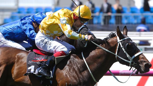 Comin’ Through will relish the step up to 1600m at his third run this campaign. Picture: Ian Currie