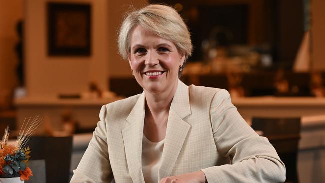 Federal Environment Minister Tanya Plibersek. Picture: Keryn Stevens