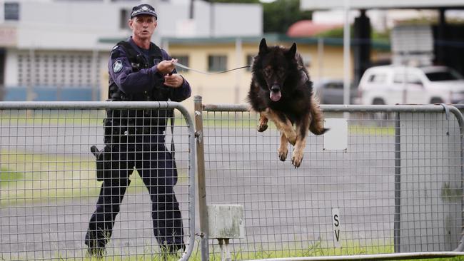 Officer in Charge of the Cairns Dog Squad Sergeant Dave Raymond show how fit and agile with Police Dog Axel is during a training exercise at the Cairns Showgrounds. Picture: Brendan Radke