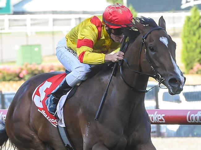 Grand Scholar ridden by Luke Currie wins the Opus Group Handicap at Moonee Valley Racecourse on December 06, 2019 in Moonee Ponds, Australia. (Brett Holburt/Racing Photos via Getty Images)