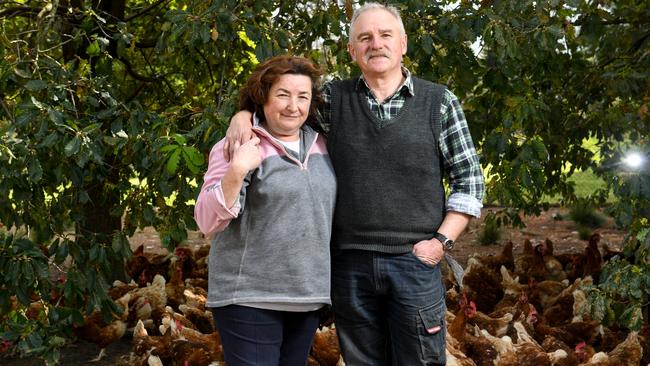 Eva and Janos Barabas are closing their Nirvana egg farm after 25 years. Picture: Penny Stephens