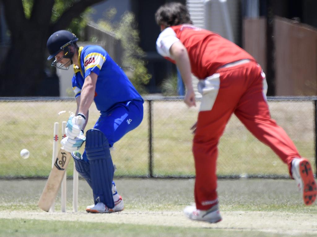 Matt Williams, Rugby Championship, Cricket, Ashes 2019