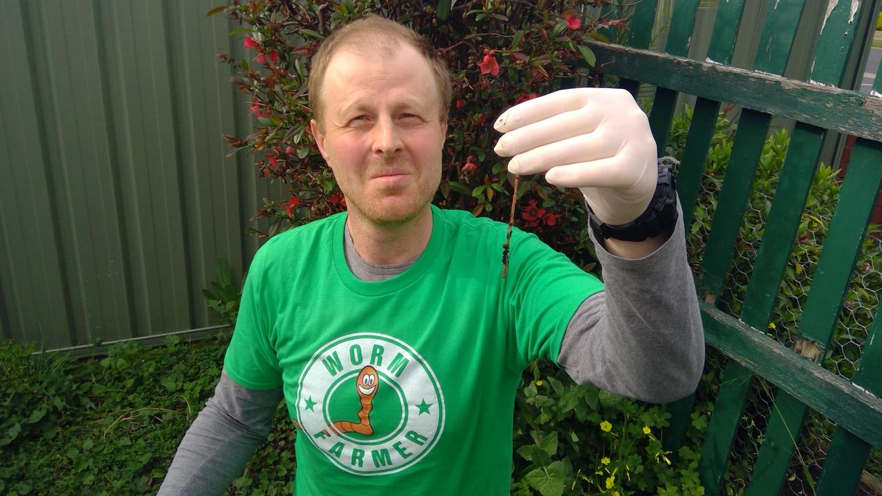 Dr Ivan Maksymov of Swinburne University of Technology holding a worm. Picture: Supplied by Scimex