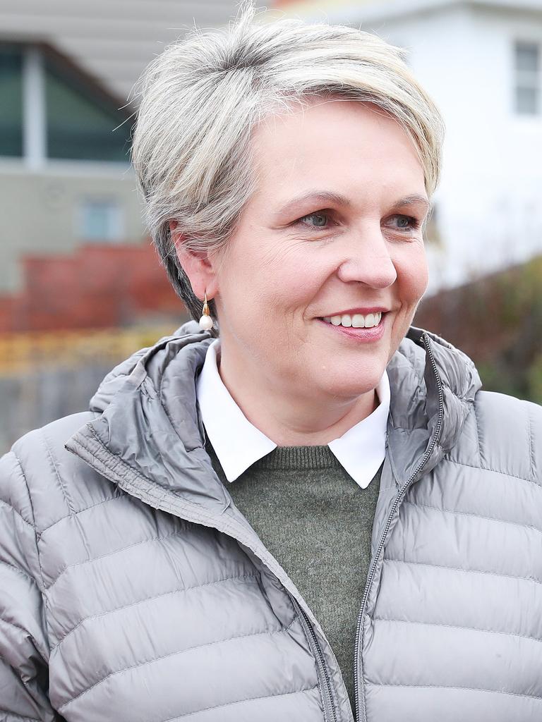 Tanya Plibersek Announces Spotted Handfish Funding | Herald Sun