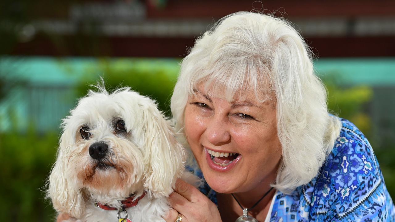 Adelaide s most popular dogs The Advertiser