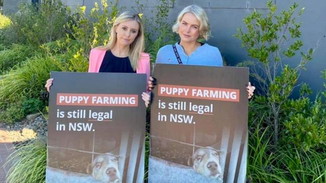 <font><font>Animal Justice Party NSW MP Emma Hurst (left) Picture: Emma Hurst</font></font>