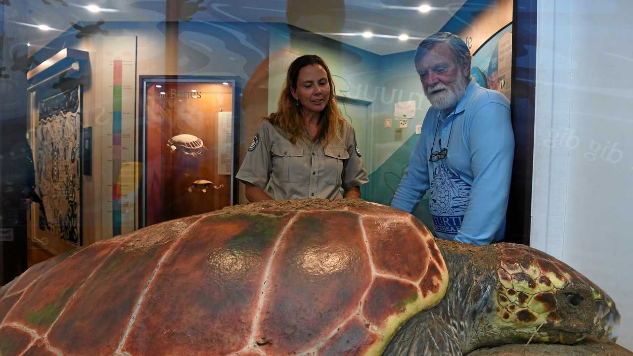 Col celebrates a huge 50 years with the turtles