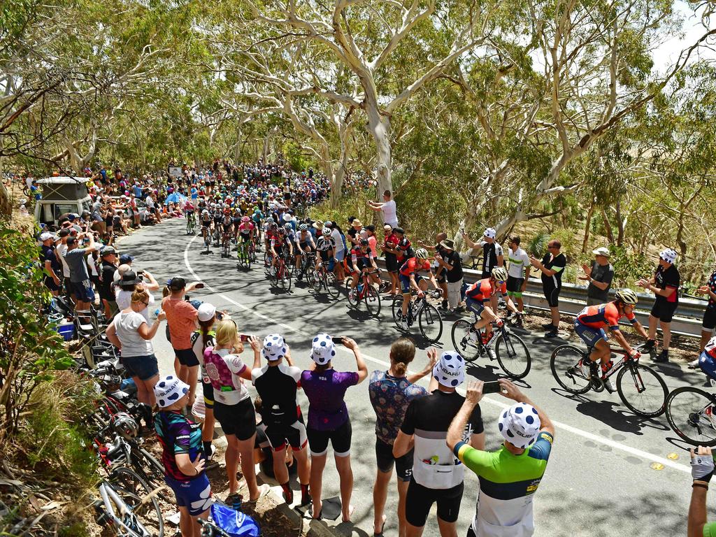 Fans cheering on the peloton on Brookman Road, Willunga Hill. Picture: Tom Huntley