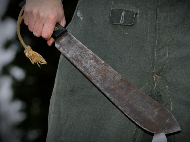 Machete-wielding bull rider terrorises regional shops