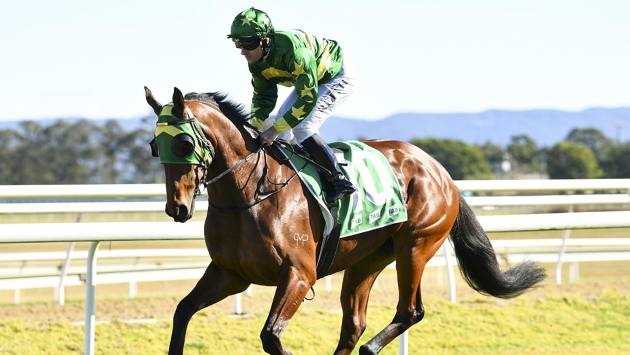 Former Sydney trained gelding Turbo Charged can win for new trainer Cody Morgan. Picture: Bradley Photos