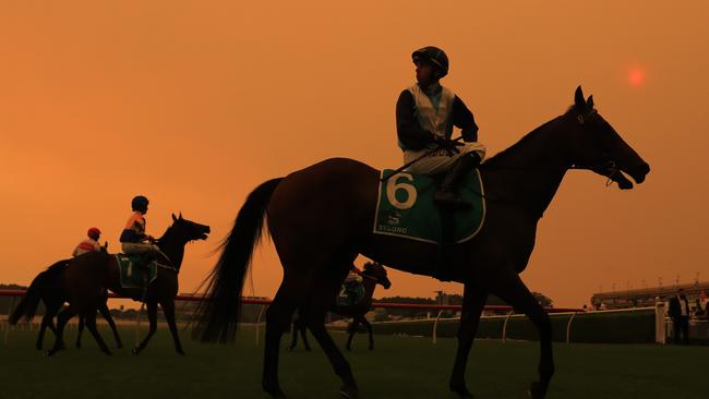 Brenton Avdulla returns to scale on Bandersnatch after winning at Randwick Pic: Getty Images