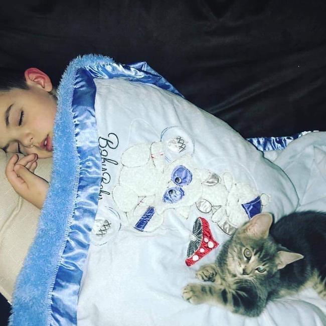 Sam Guascoine, 7, with his cat Zeus who was killed by an illegal rabbit trap. Picture: Supplied