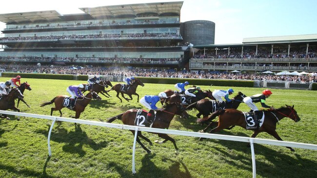 Everest champ Think About It is back in action at Rosehill.