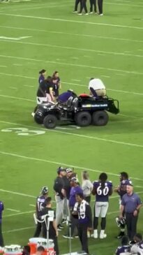 Baltimore Ravens Mascot Returns from Drumstick Injury By Doing
