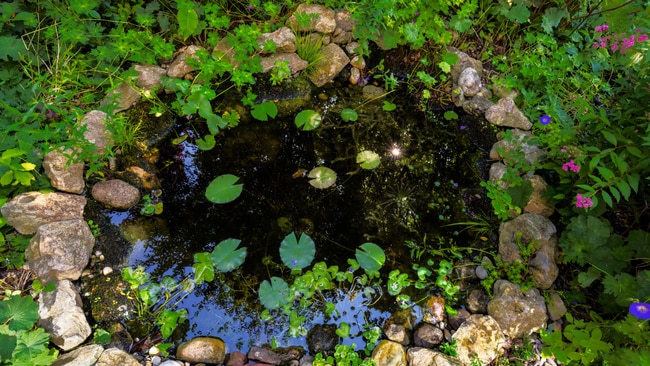 The toddler drowned in the backyard pond. Picture: iStock