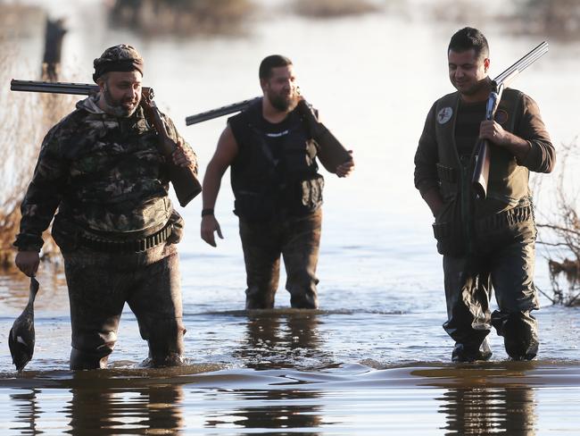 The Duck hunting season starts at Kerang, the Marshes Game Reserve,   Picture Yuri Kouzmin