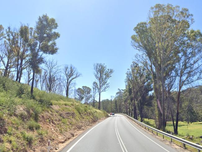 A truck driver has died after his vehicle veered off the road on the Kings Highway, near Nelligen.