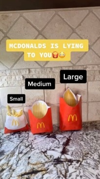 Replica of McDonald's Large French Fries Box