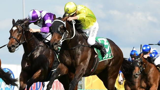 Subterranean edges out Ranch Hand to win the Ken Russell Memorial Classic at the Gold Coast. Pic Grant Peters,