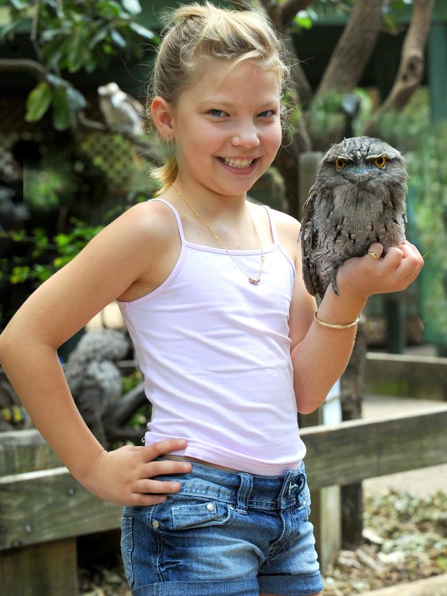 Harley Gordon, 9, and a tawny frogmouth on January 20, 2011. Picture: David Marshall