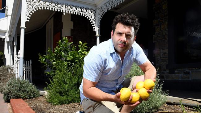 Thieves repeatedly targeted celebrity chef Andre Ursini lemon trees in 2019. Picture: Tricia Watkinson