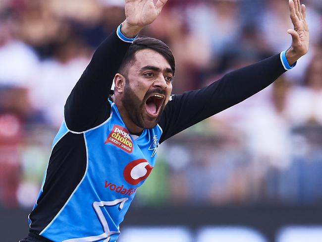 SYDNEY, AUSTRALIA - JANUARY 13: Rashid Khan of the Strikers celebrates taking the wicket of Anton Devcich of the Thunder during the Big Bash League match between the Sydney Thunder and the Adelaide Strikers at Spotless Stadium on January 13, 2019 in Sydney, Australia. (Photo by Brett Hemmings/Getty Images)