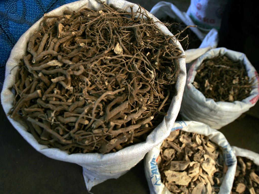 Kava root, taken at a Kava Market in Suva. Picture: Supplied