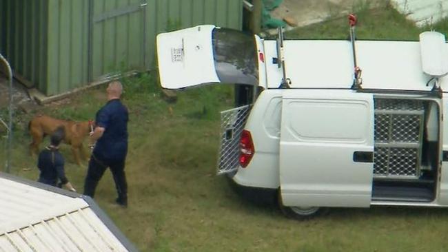 Logan City Council seized two dogs after mauling Kane Minion to death. Picture 9News.