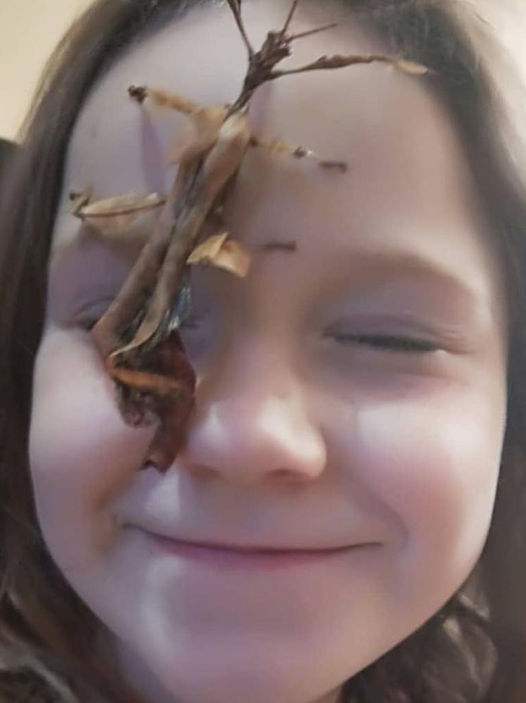 Asha with her Spiny Leaf insects in Morphett Vale. Picture: Kylie Cook