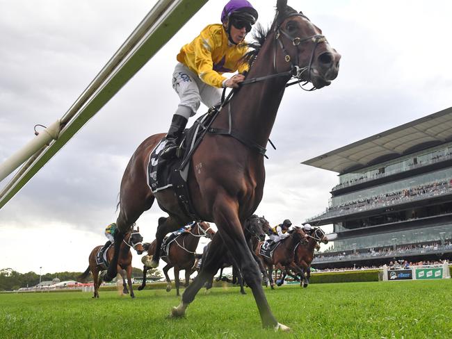 Tim Clark rides Hush Writer to victory the St Leger.