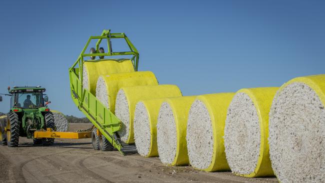 Queensland GM cotton farms. Picture: Josh Smith